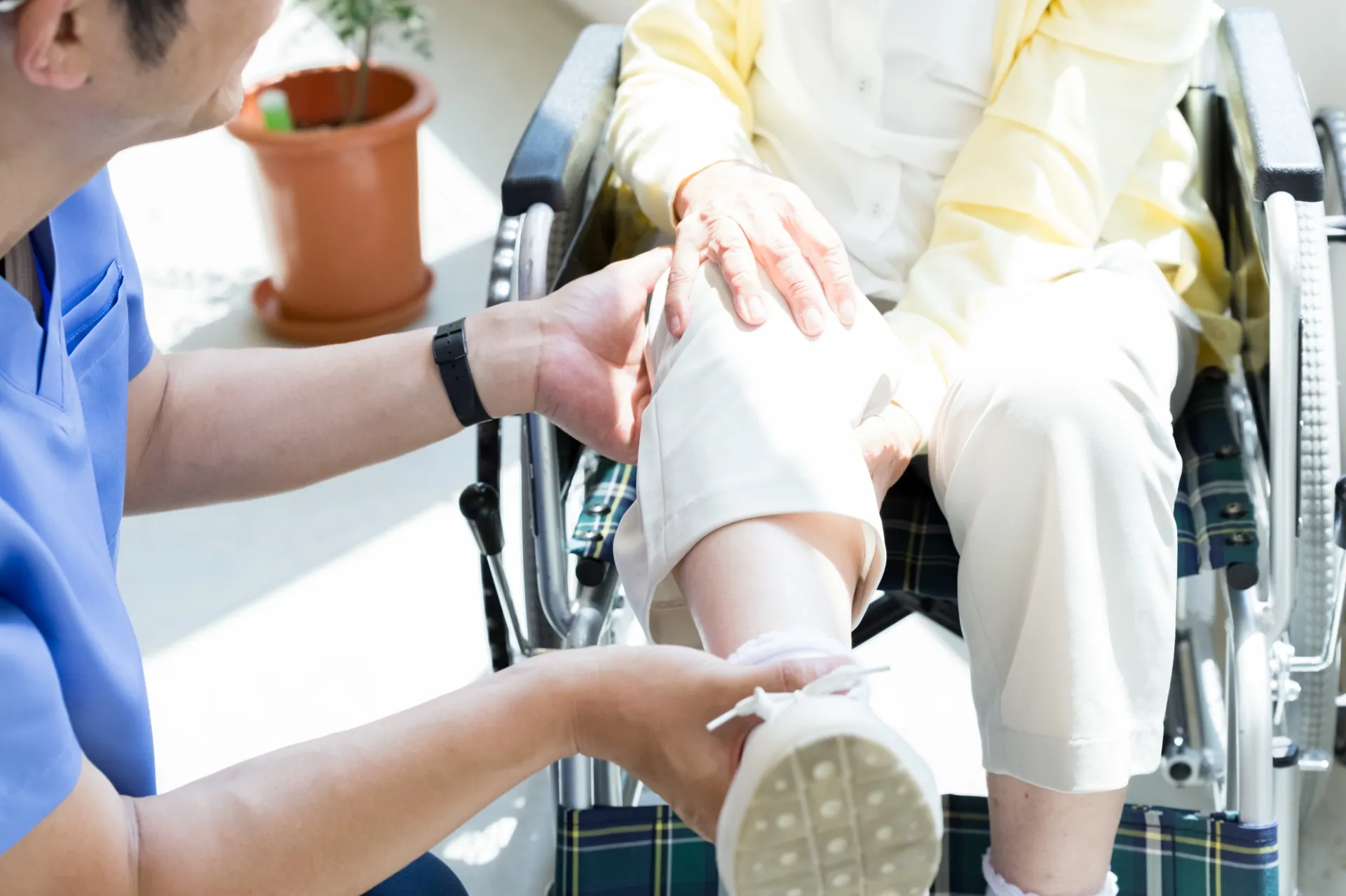 株式会社リリーフル